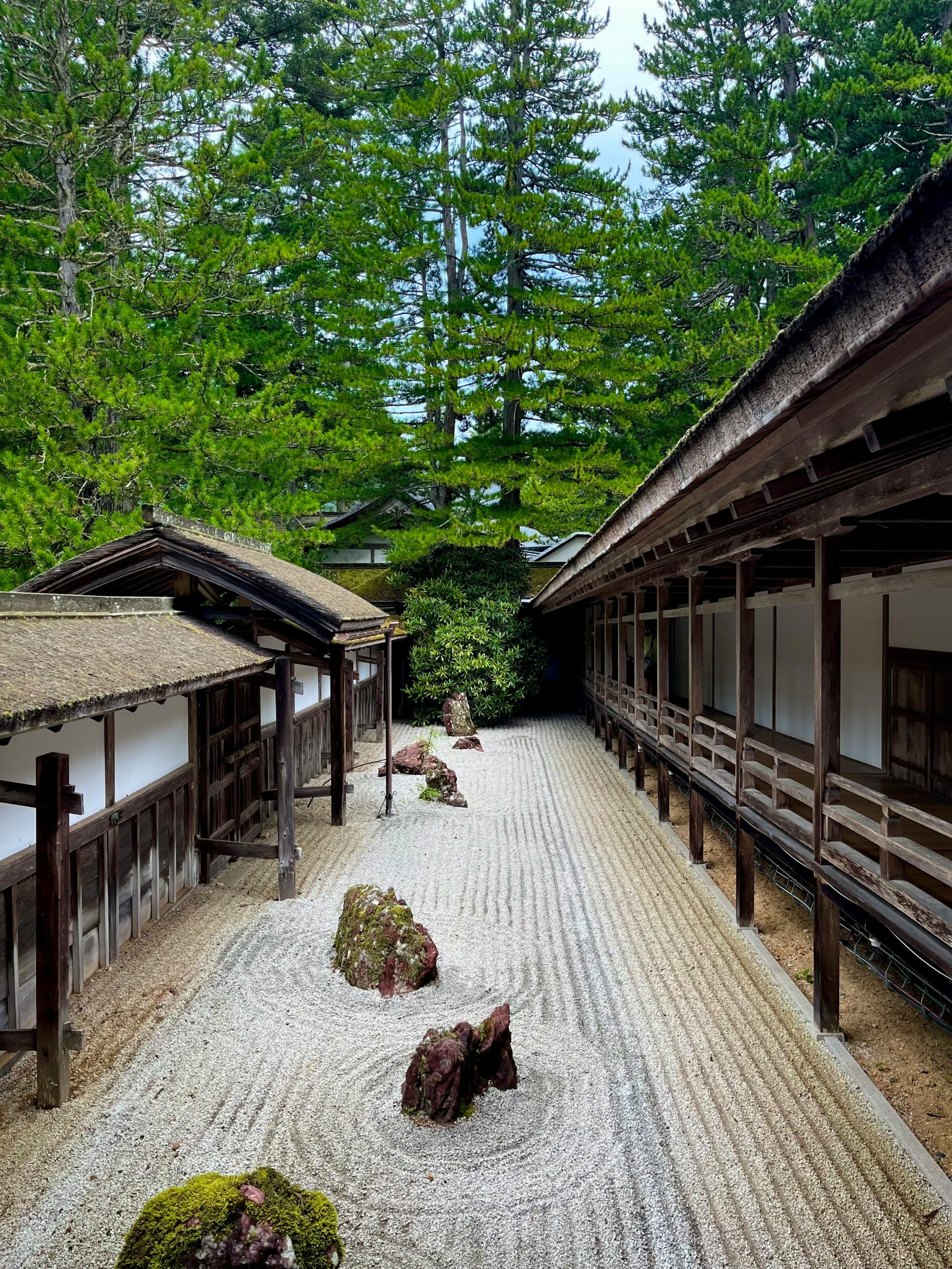 shinto and buddhism in japan